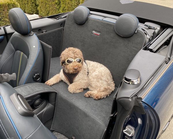 MINI Cabrio F57 ab 2016 Rueckbankschutz Ruecksitzbank Schutz 7 CargoCover - Der Kofferraumschutz für Hund und Auto