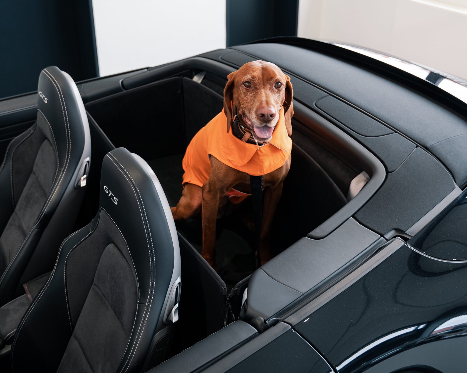 Porsche 911 Cabrio Rueckbankschutz Ruecksitzbank Schutz 3 CargoCover - Der Kofferraumschutz für Hund und Auto