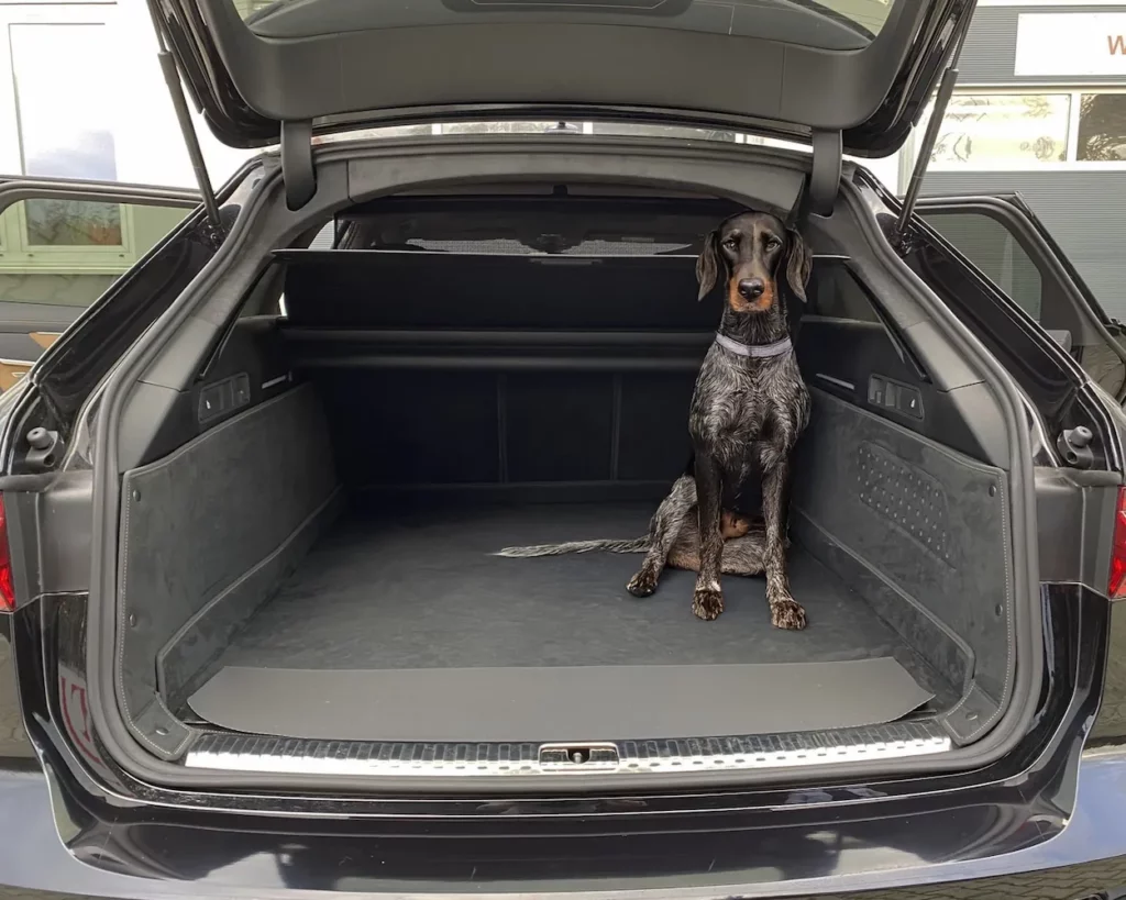Hund Kofferraumschutz Audi A6 Avant, Audi S6 Avant, Audi RS6 Avant (C8) ab 2018 - Kofferraumschutz für Hunde - Kofferraumwanne von CargoCover - Produktbild 1