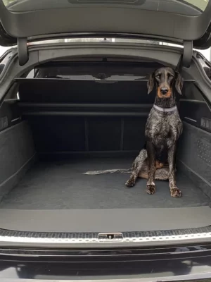 Hund Kofferraumschutz Audi A6 Avant, Audi S6 Avant, Audi RS6 Avant (C8) ab 2018 - Kofferraumschutz für Hunde - Kofferraumwanne von CargoCover - Produktbild 1