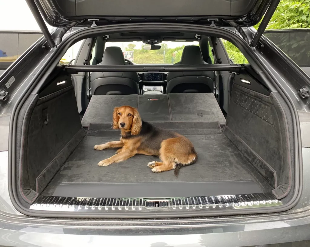 Hund Kofferraumschutz Audi Q8 (4M) ab 2018 - Kofferraumschutz für Hunde - Kofferraumwanne von CargoCover - Produktbild 1