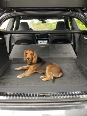Hund Kofferraumschutz Audi Q8 (4M) ab 2018 - Kofferraumschutz für Hunde - Kofferraumwanne von CargoCover - Produktbild 1