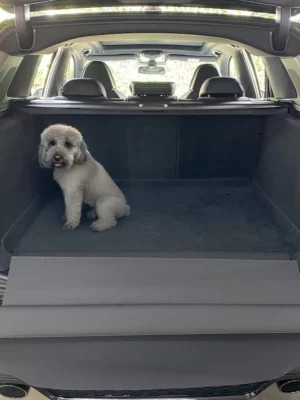Hund Kofferraumschutz BMW X3 (G01) ab 2017 - Kofferraumschutz für Hunde - Kofferraumwanne von CargoCover - Produktbild 1