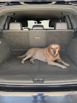 Hund Kofferraumschutz VW Touareg 3 CR ab 2018 - Kofferraumschutz für Hunde - Kofferraumwanne von CargoCover - Produktbild 1