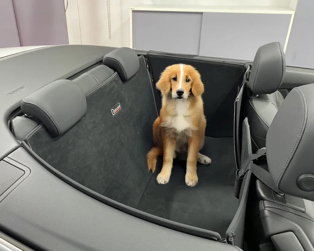 Hund Rückbankschutz Audi A5 Cabrio F5 ab 2016 - Rückbankschutz für Hunde - Rücksitzbank von CargoCover - Produktbild 1