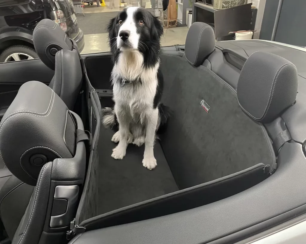 Hund Rückbankschutz Mercedes-Benz C-Klasse Cabrio A205 ab 2016 - Rückbankschutz für Hunde - Rücksitzbank von CargoCover - Produktbild 1