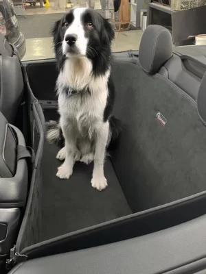 Hund Rückbankschutz Mercedes-Benz C-Klasse Cabrio A205 ab 2016 - Rückbankschutz für Hunde - Rücksitzbank von CargoCover - Produktbild 1