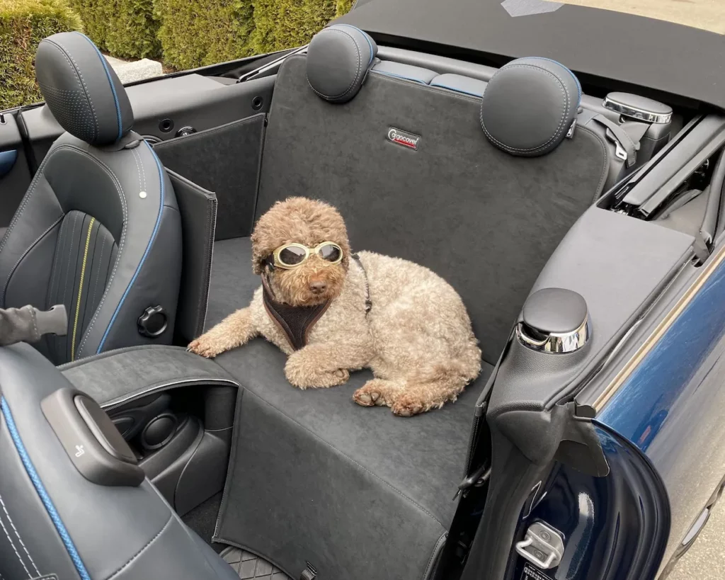 Hund Rückbankschutz MINI Cabrio F57 2016 bis 2024 - Rückbankschutz für Hunde - Rücksitzbank von CargoCover - Produktbild 1