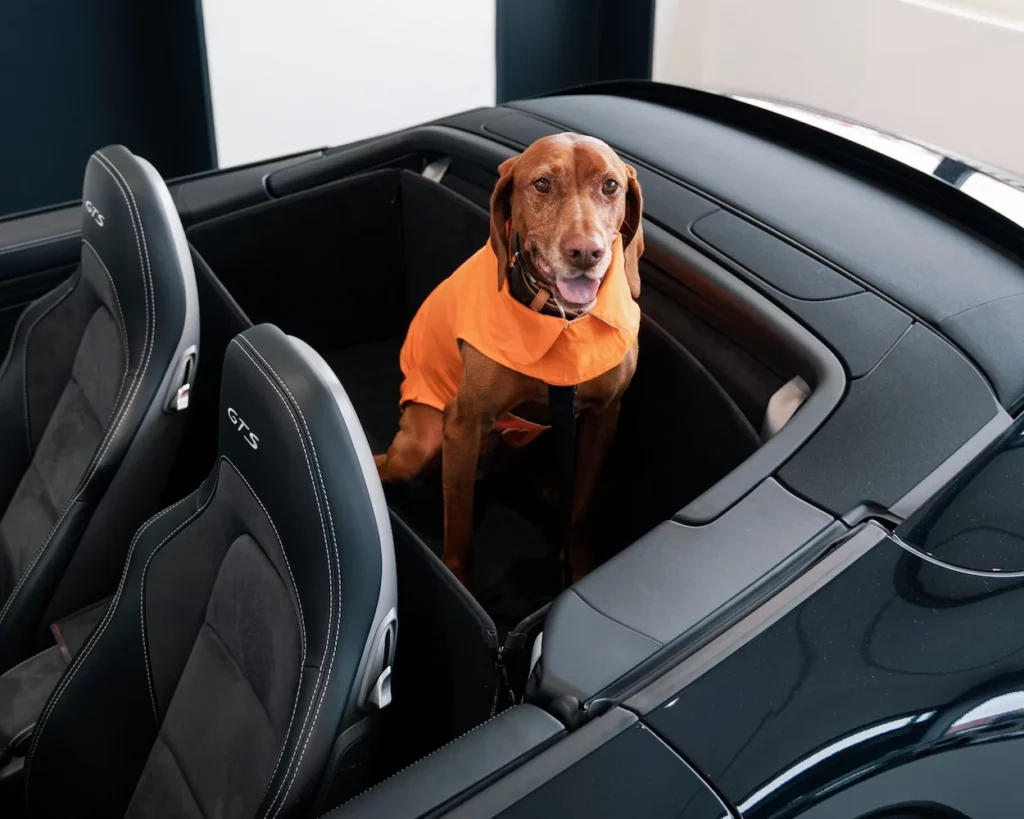 Hund Rückbankschutz Porsche 911 Cabrio (Typ 991.2) 2015 bis 2018 - Rückbankschutz für Hunde - Rücksitzbank von CargoCover - Produktbild 1