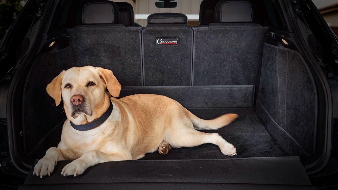 CargoCover - Der Premium Kofferaumschutz für Hund und Auto